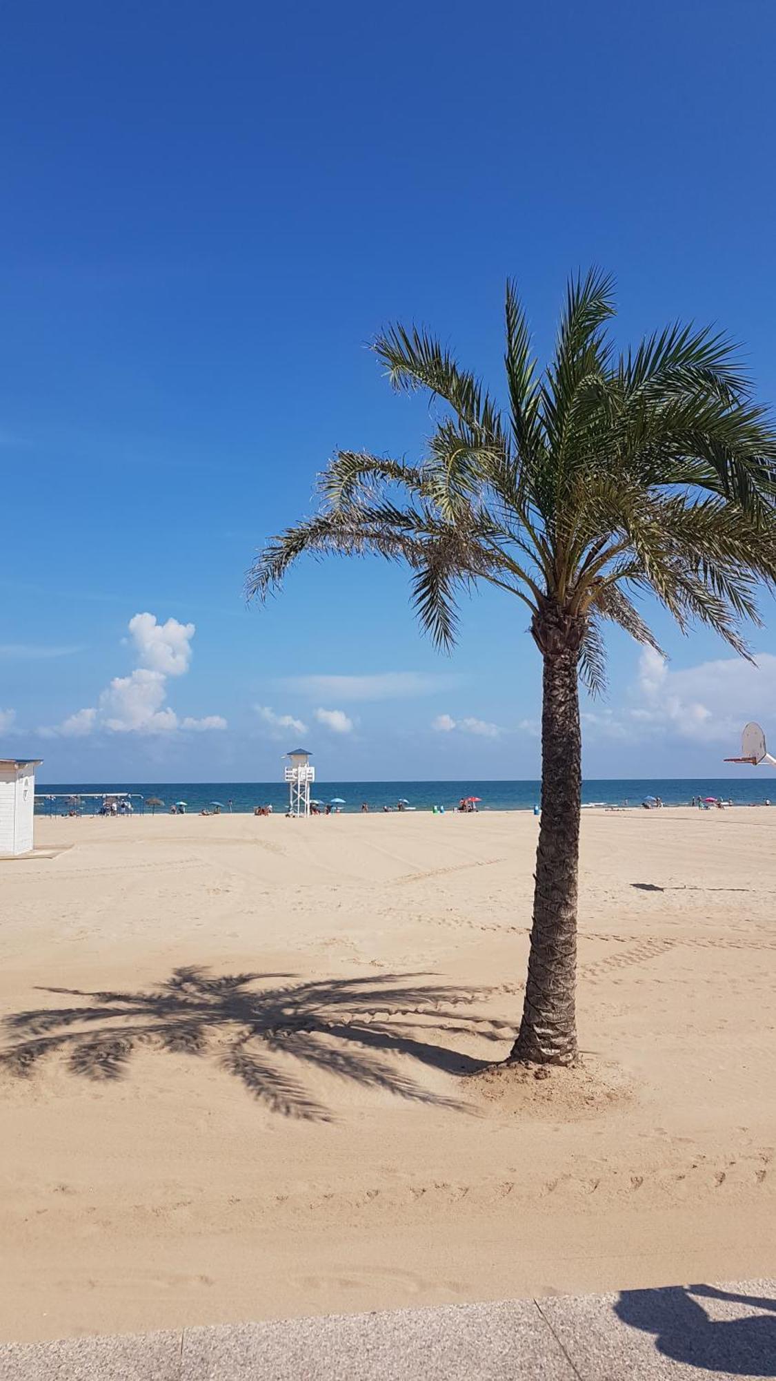 Hola Gandia Lägenhet Exteriör bild